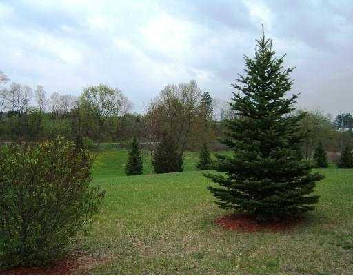 17851 Trolz Road Manchester, MI 48158 - Photo 7 of 10 Photo 7