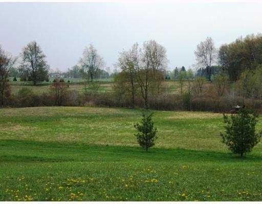 17851 Trolz Road Manchester, MI 48158 - Photo 10 of 10 Photo 10