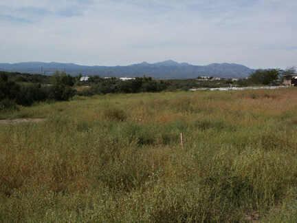 8125 West Hampton Road, Unit 62 Wilhoit, AZ 86332 - Photo 1 of 1 Primary Photo