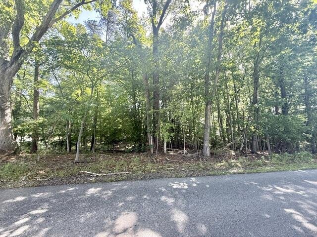 67 High Point Road Moneta, VA 24121 - Photo 1 of 1 IMG_8030