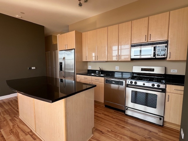 15 South Throop Street, Unit 508 Chicago, IL 60607 - Photo 5 of 19