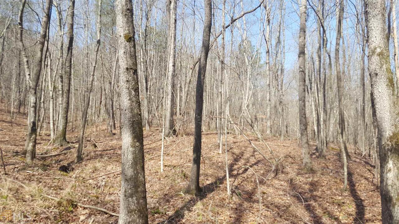0 Powell Road LaFayette, GA 30728 - Photo 1 of 1 Gallery Image 1