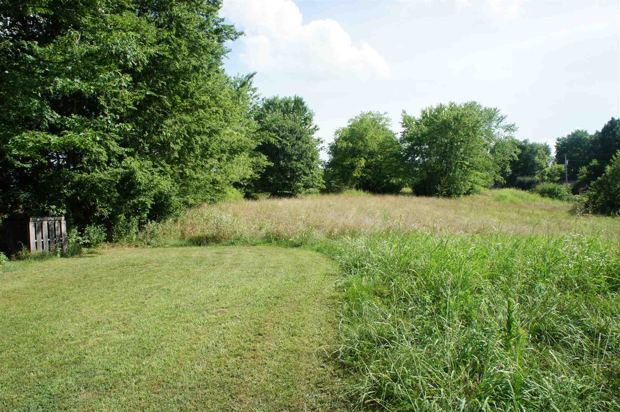 4172 Altenberger Road Metropolis, IL 62960 - Photo 3 of 6