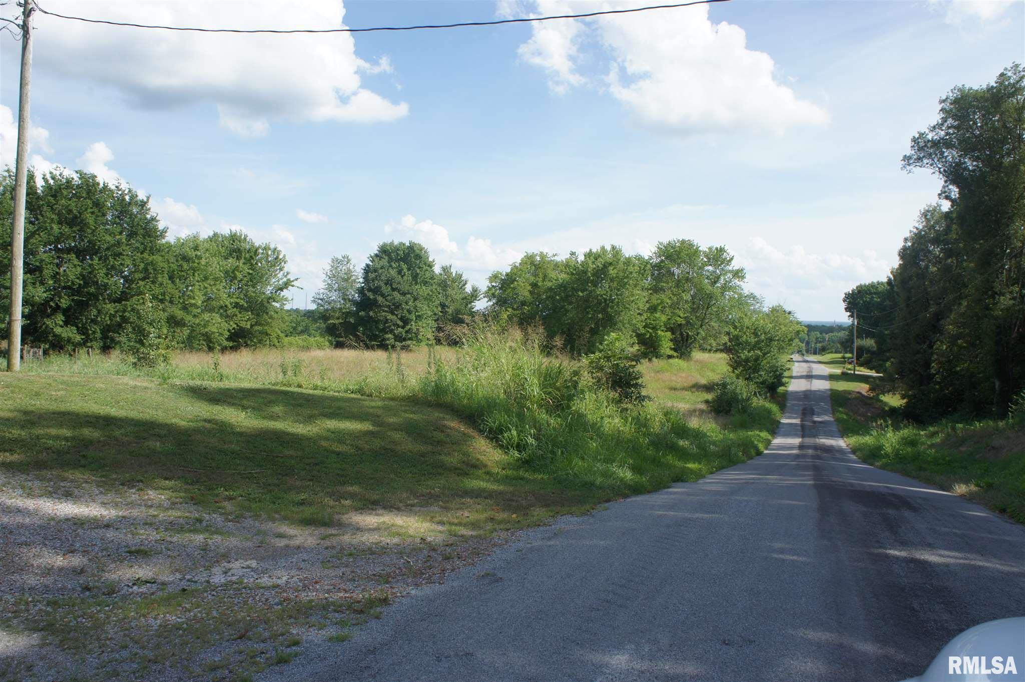 4172 Altenberger Road Metropolis, IL 62960 - Photo 4 of 6