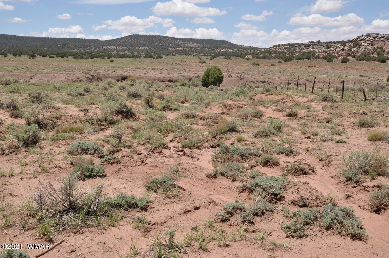 30 Pinon Valley Ranch Concho, AZ 85924 - Photo 3 of 10