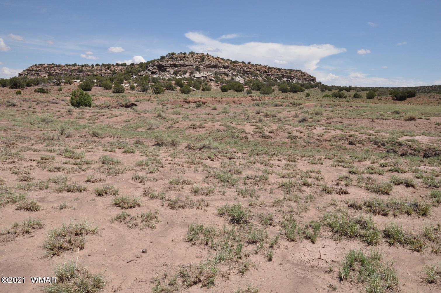 30 Pinon Valley Ranch Concho, AZ 85924 - Photo 8 of 10
