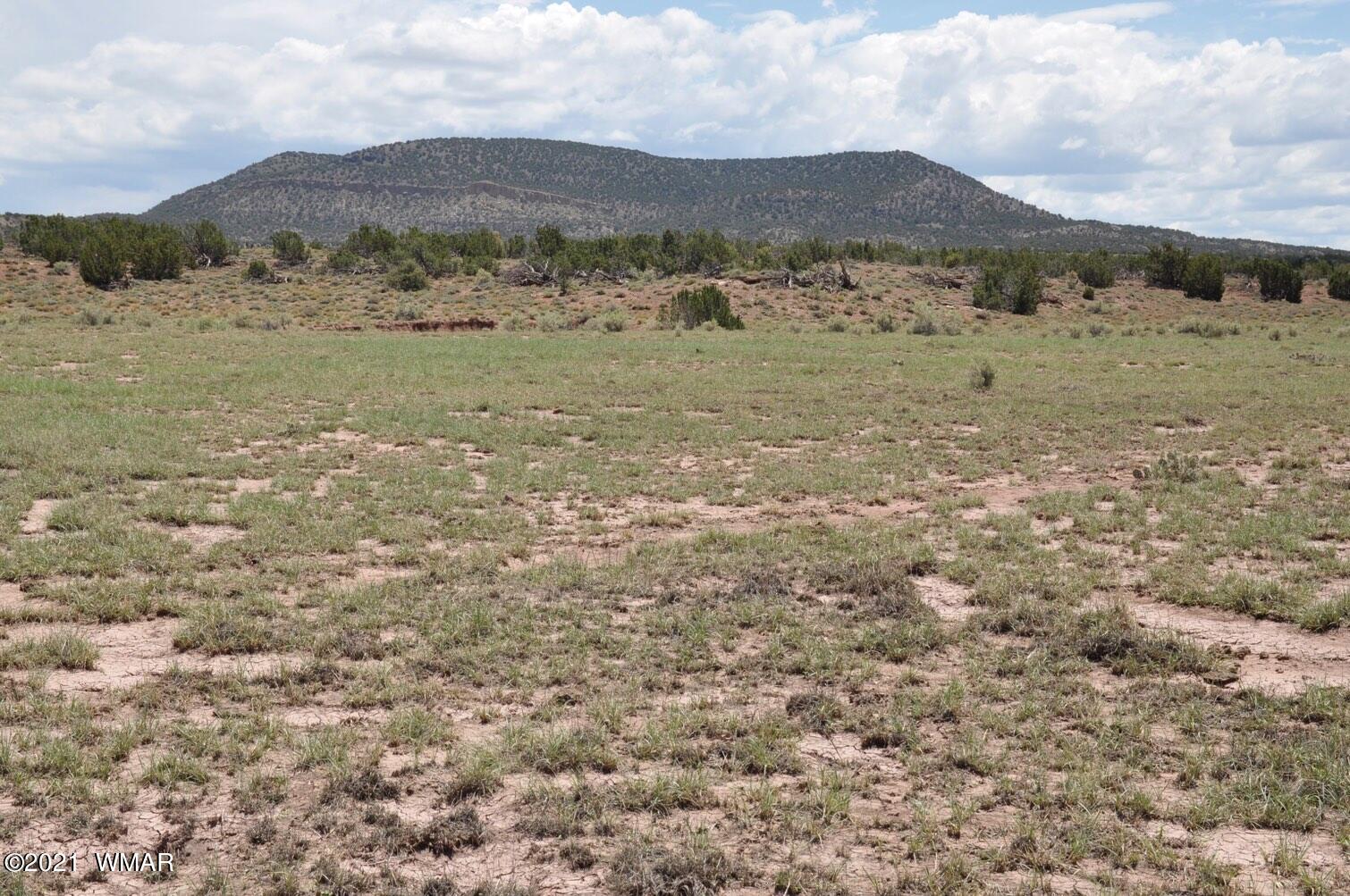 30 Pinon Valley Ranch Concho, AZ 85924 - Photo 10 of 10