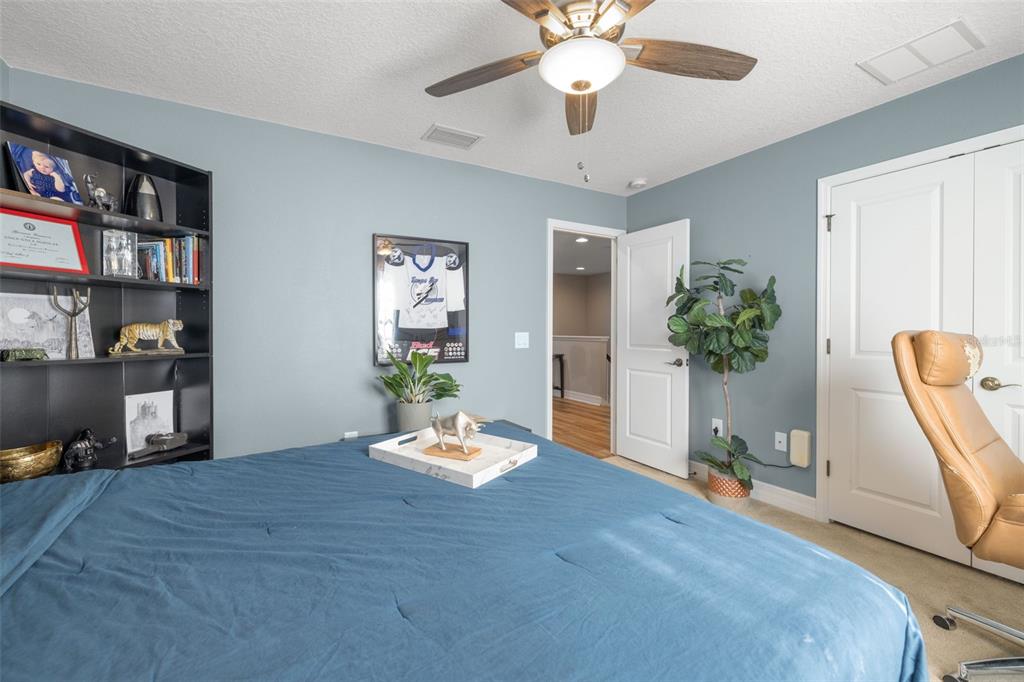 4407 Scarlet Loop Wesley Chapel, FL 33544 - Photo 28 of 49