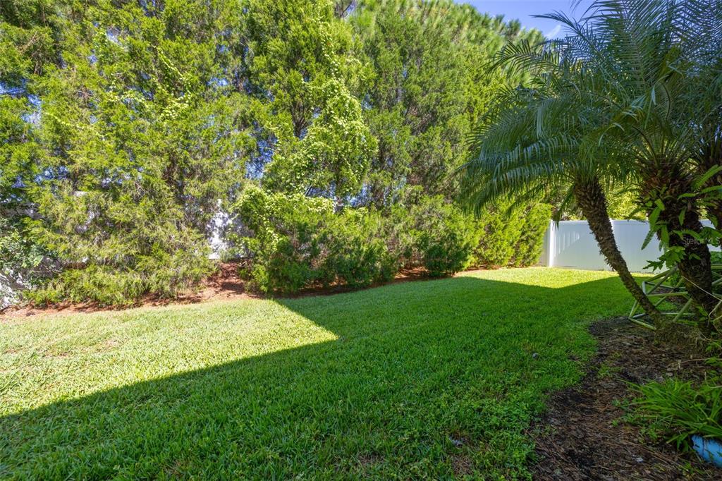 4407 Scarlet Loop Wesley Chapel, FL 33544 - Photo 36 of 49