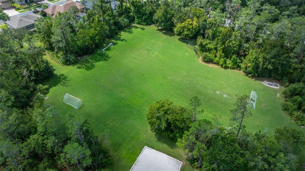 4407 Scarlet Loop Wesley Chapel, FL 33544 - Photo 41 of 49