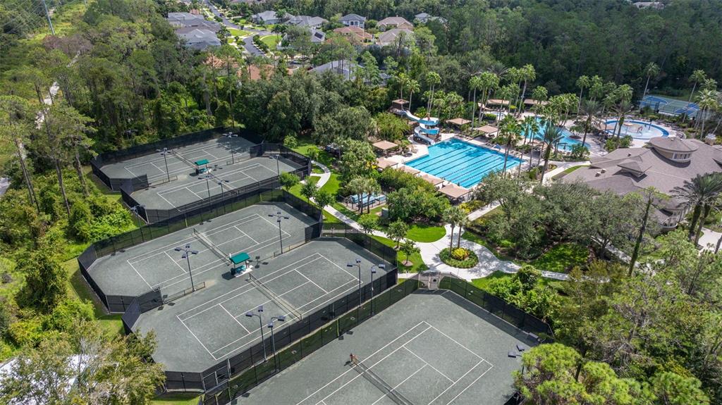 4407 Scarlet Loop Wesley Chapel, FL 33544 - Photo 43 of 49