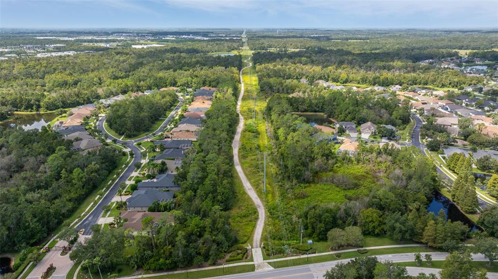 4407 Scarlet Loop Wesley Chapel, FL 33544 - Photo 48 of 49