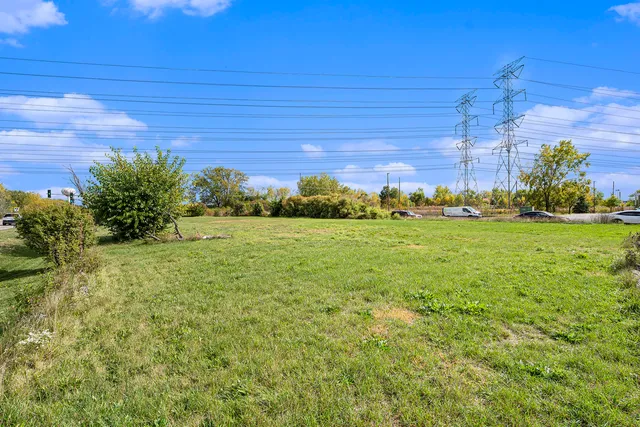 a view of a big yard with potted plants and large tree