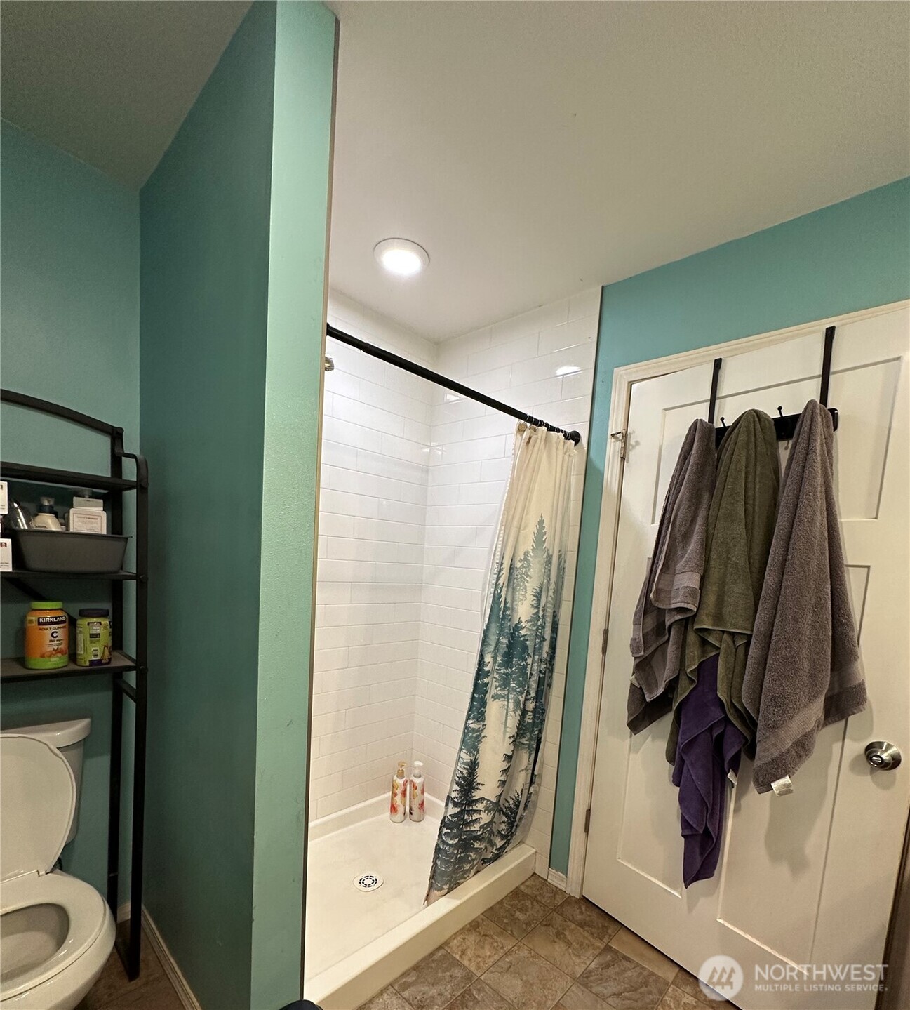 180 A Mossyrock Road West Mossyrock, WA 98564 - Photo 19 of 29 a bathroom with a shower and toilet