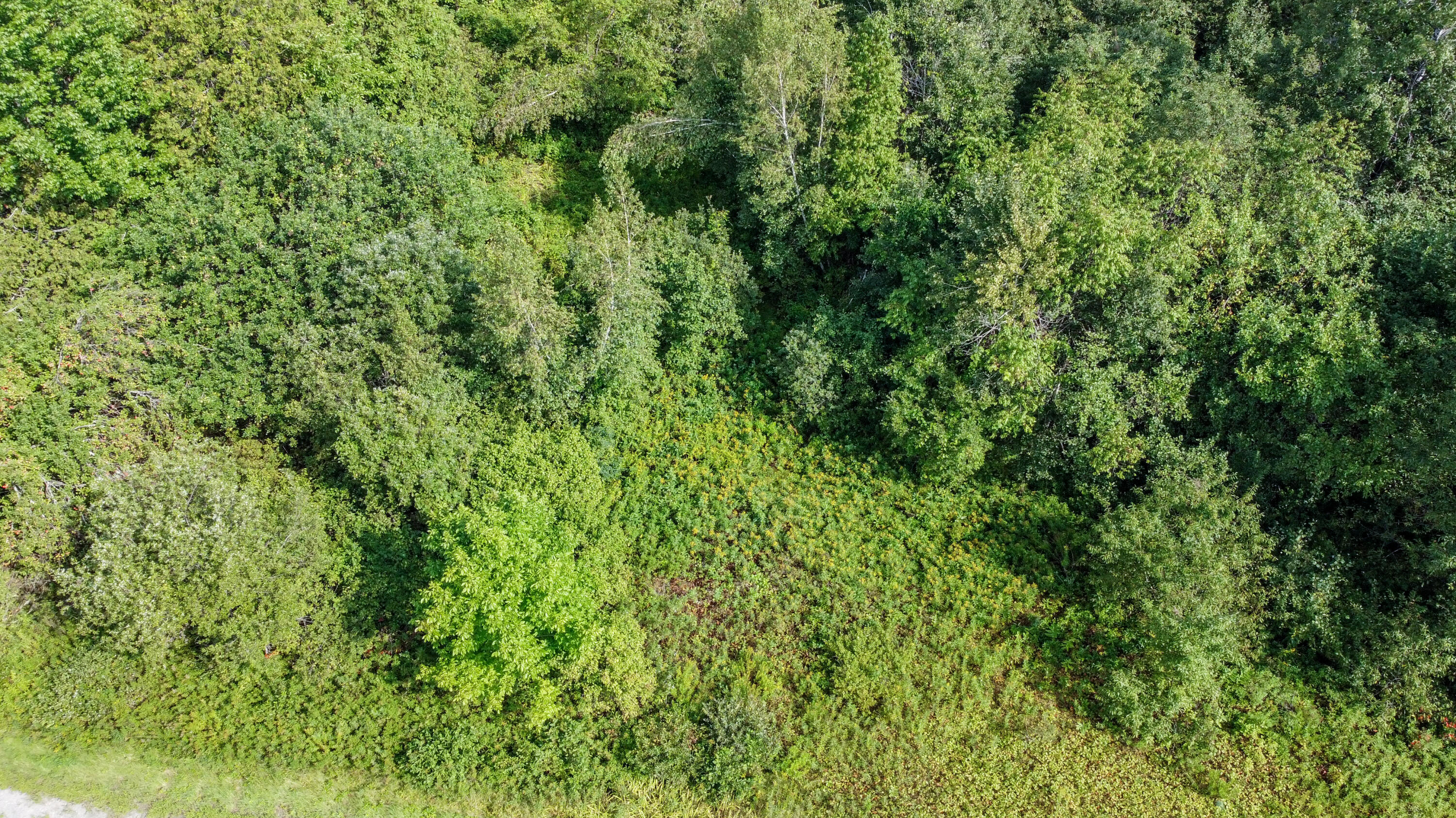 0 Fredericks Corner Road Norridgewock, ME 04957 - Photo 3 of 4 Land2