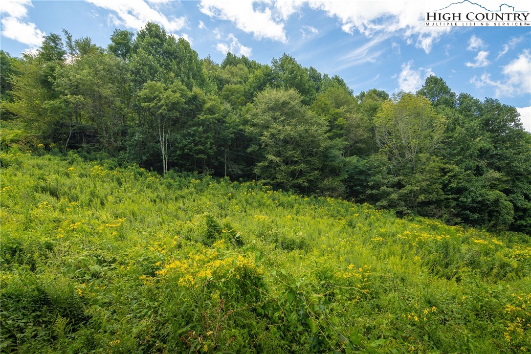 Georges Gap Road Vilas, NC 28692 - Photo 13 of 42 Gallery Image 13