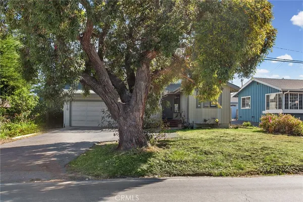 a large tree in front of a white house
