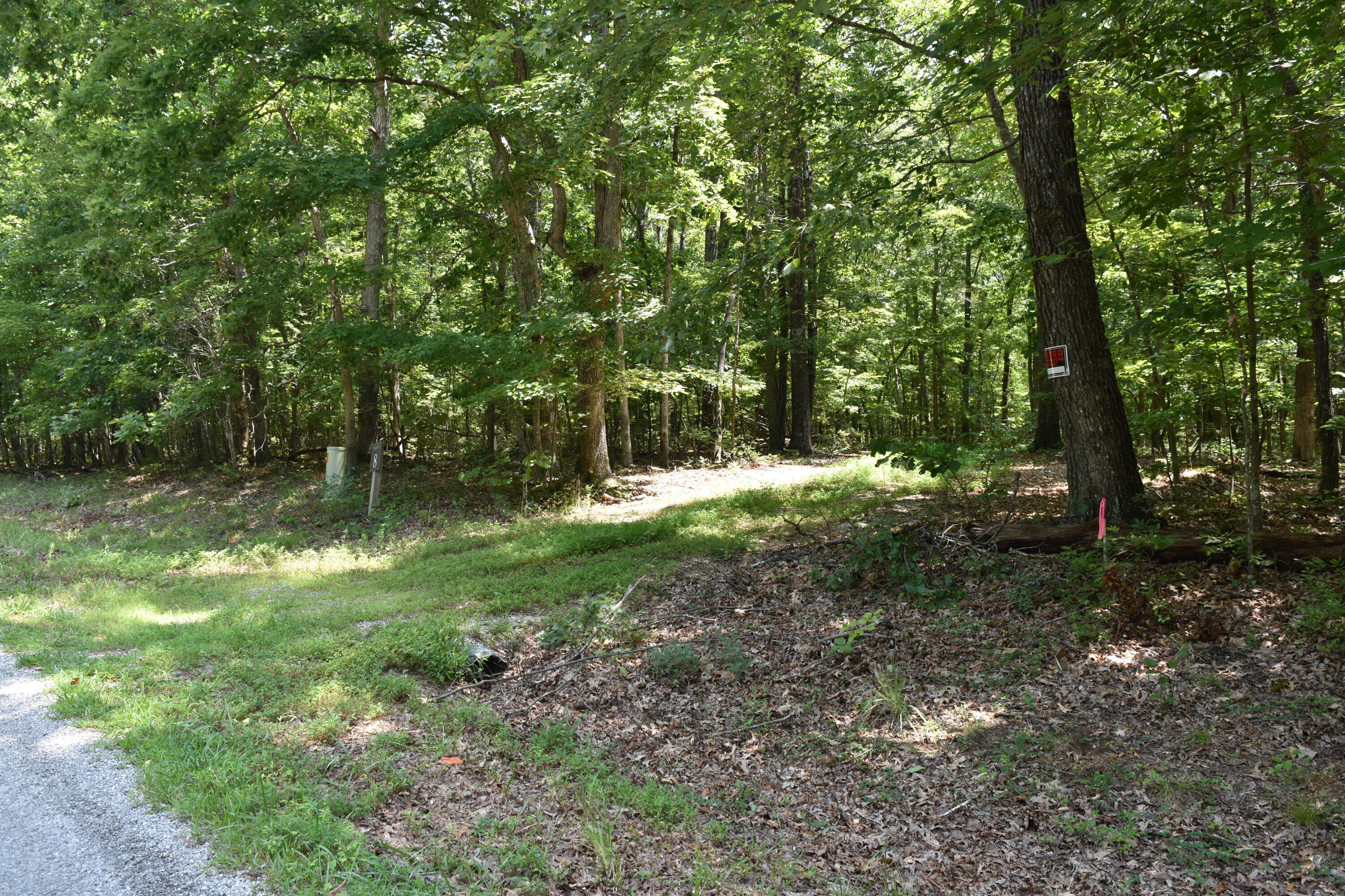 0 Deepwoods Road, Unit LOT 8 COOLEYS RIFT Sewanee, TN 37375 - Photo 4 of 23 DSC_0114