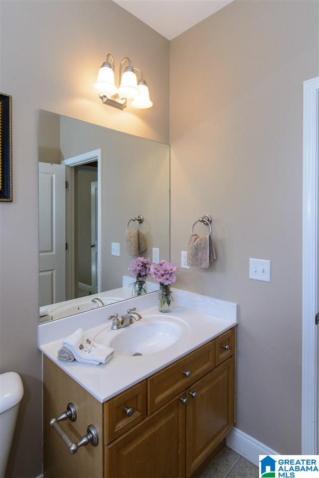 616 Emerald Trace Chelsea, AL 35043 - Photo 30 of 49