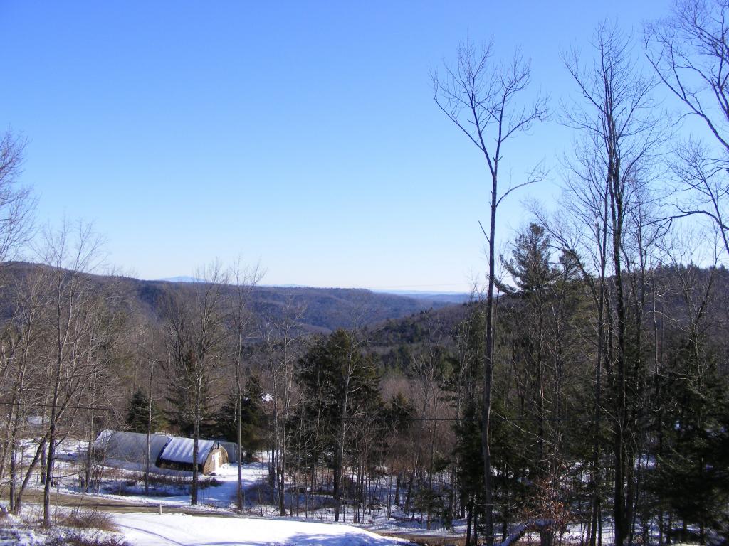 380 Phillips Hill Road Halifax, VT 05342 - Photo 8 of 11
