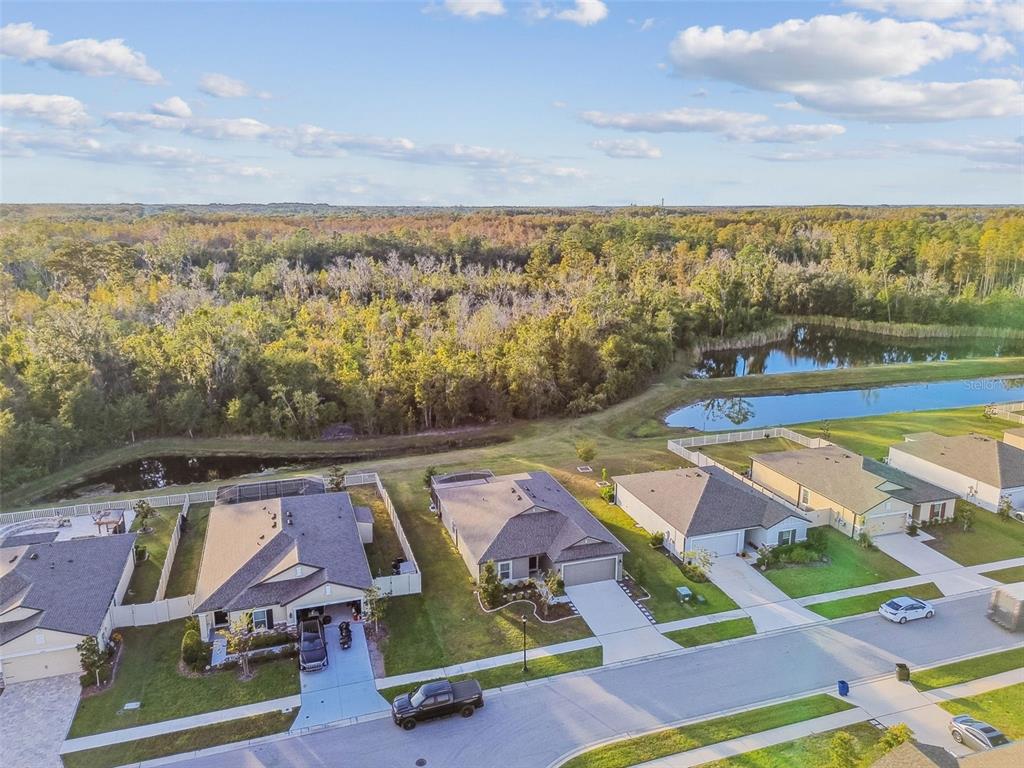 12907 Conquistador Loop Spring Hill, FL 34610 - Photo 64 of 74 Gallery Image 64