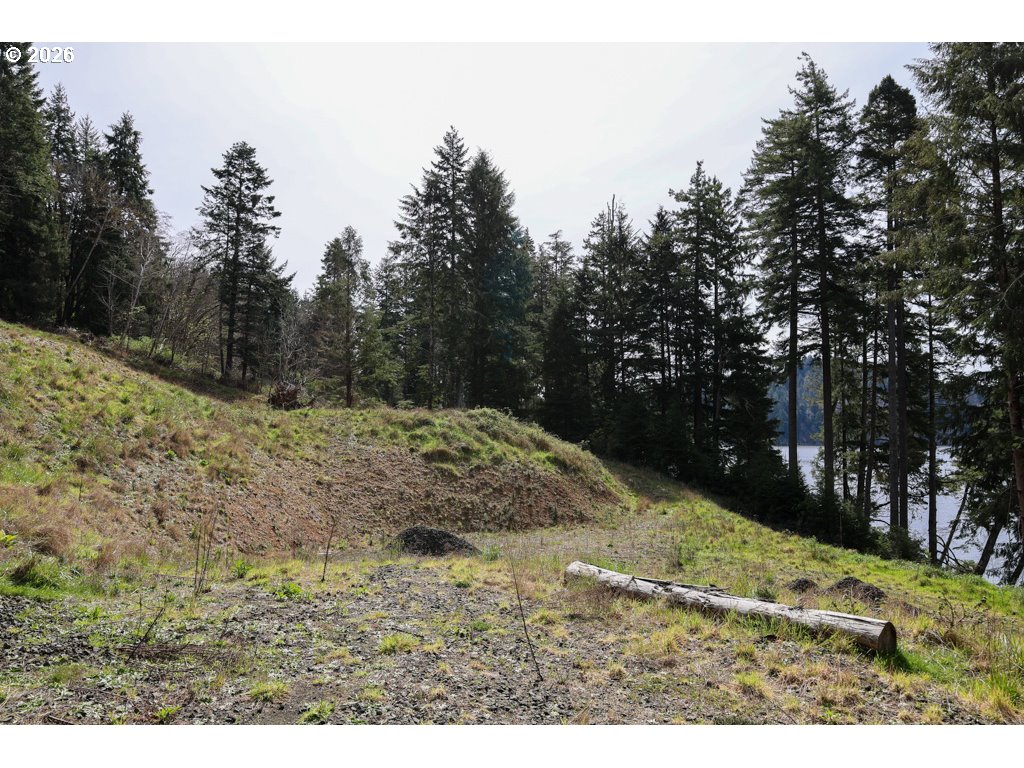 71350 Sunny Cove Road Lakeside, OR 97449 - Photo 11 of 29