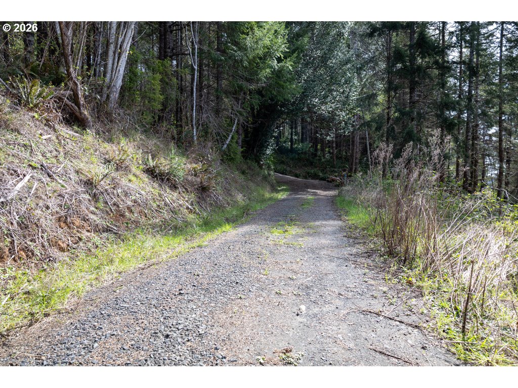 71350 Sunny Cove Road Lakeside, OR 97449 - Photo 12 of 29