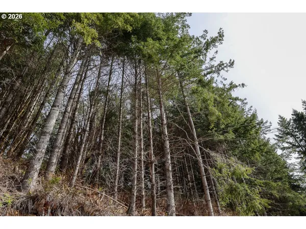 $499,000 | 71350 Sunny Cove Road, Lakeside, OR 97449