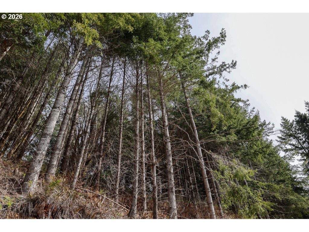 71350 Sunny Cove Road Lakeside, OR 97449 - Photo 14 of 29