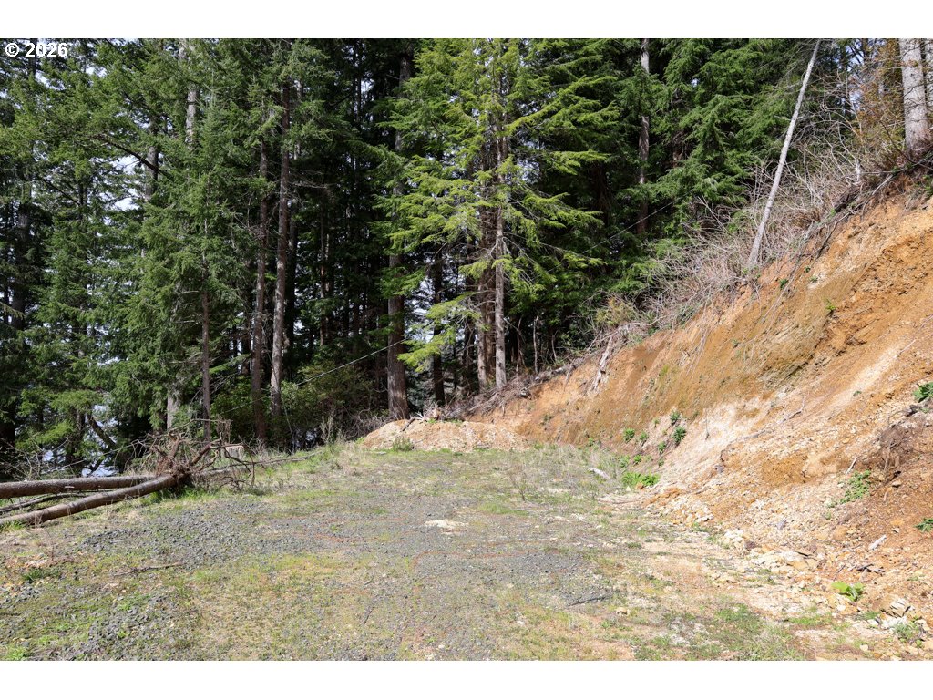 71350 Sunny Cove Road Lakeside, OR 97449 - Photo 16 of 29