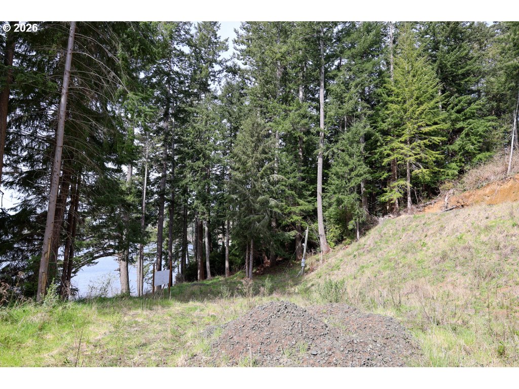 71350 Sunny Cove Road Lakeside, OR 97449 - Photo 26 of 29