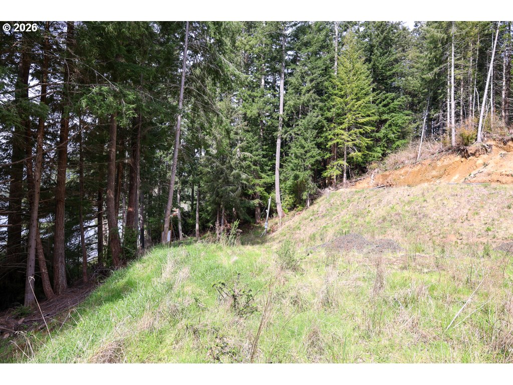 71350 Sunny Cove Road Lakeside, OR 97449 - Photo 28 of 29