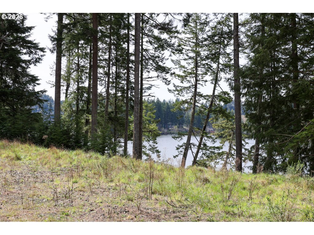 71350 Sunny Cove Road Lakeside, OR 97449 - Photo 29 of 29