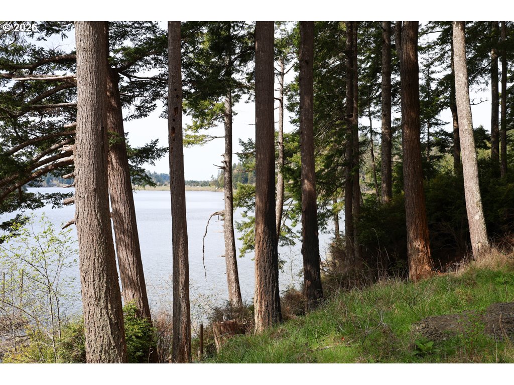 71350 Sunny Cove Road Lakeside, OR 97449 - Photo 3 of 29