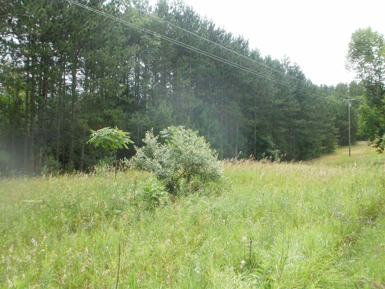 Raymond Road Leroy, MI 49655 - Photo 2 of 15 1866181-1.JPG