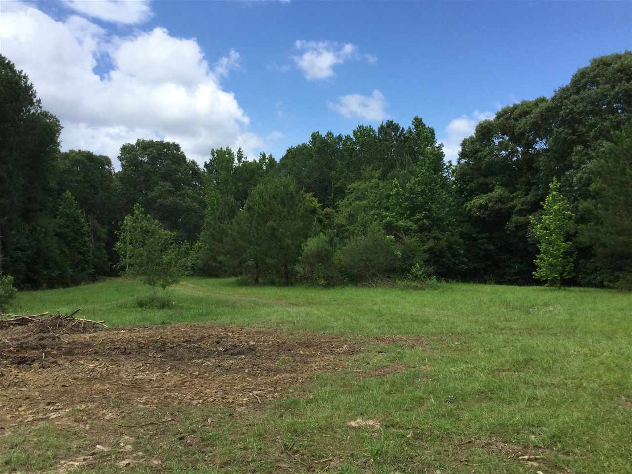 1139 Johns-Mayton Road Brandon, MS 39042 - Photo 40 of 50 Photo 40