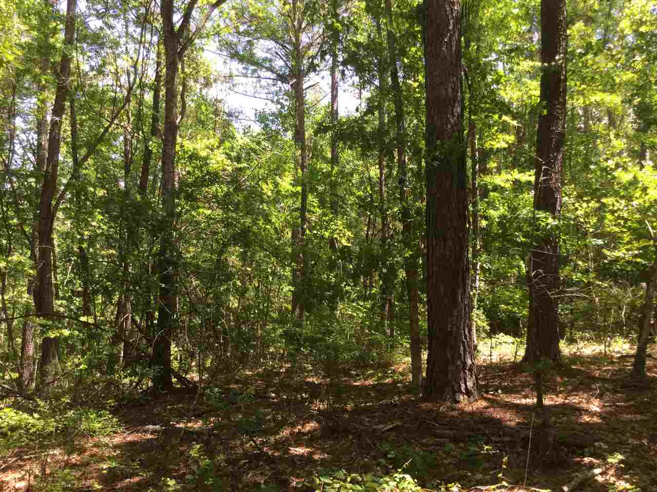 1139 Johns-Mayton Road Brandon, MS 39042 - Photo 42 of 50 Photo 42
