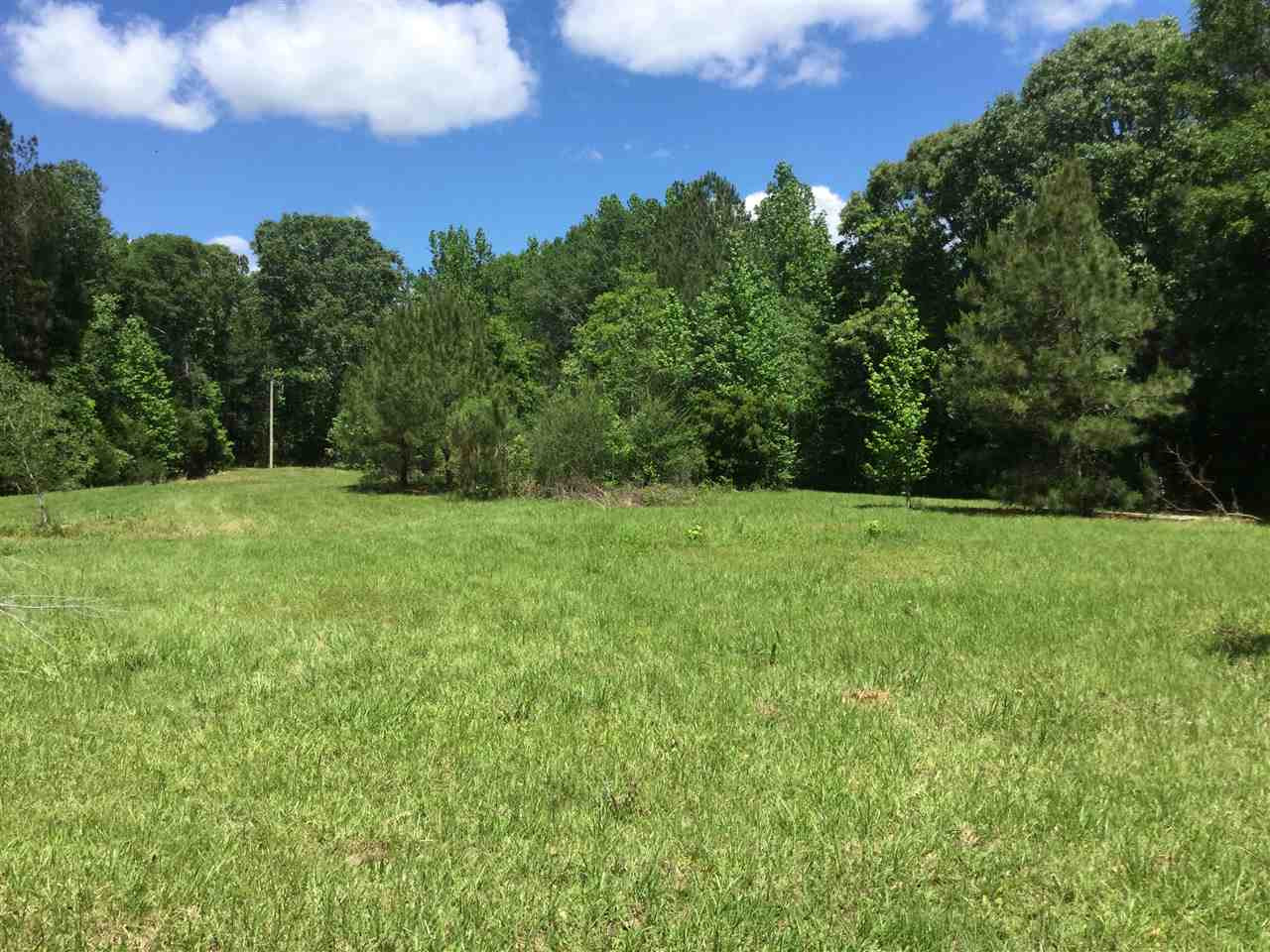 1139 Johns-Mayton Road Brandon, MS 39042 - Photo 44 of 50 Photo 44