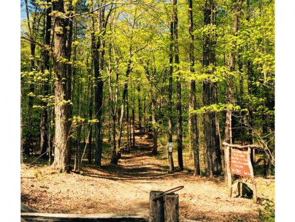 2002 Black Mountain Road Dummerston, VT 05301 - Photo 14 of 14