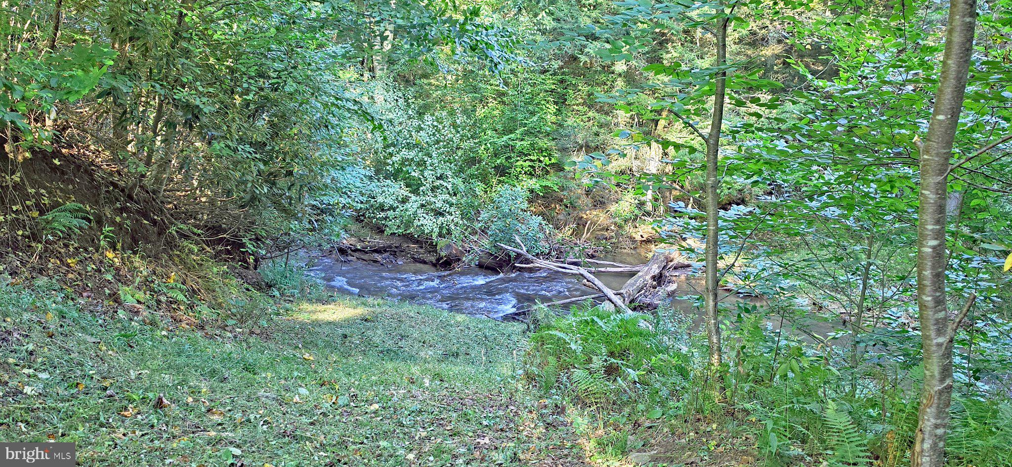 1 Rabbit Hollow Road Accident, MD 21520 - Photo 15 of 31 Gallery Image 15