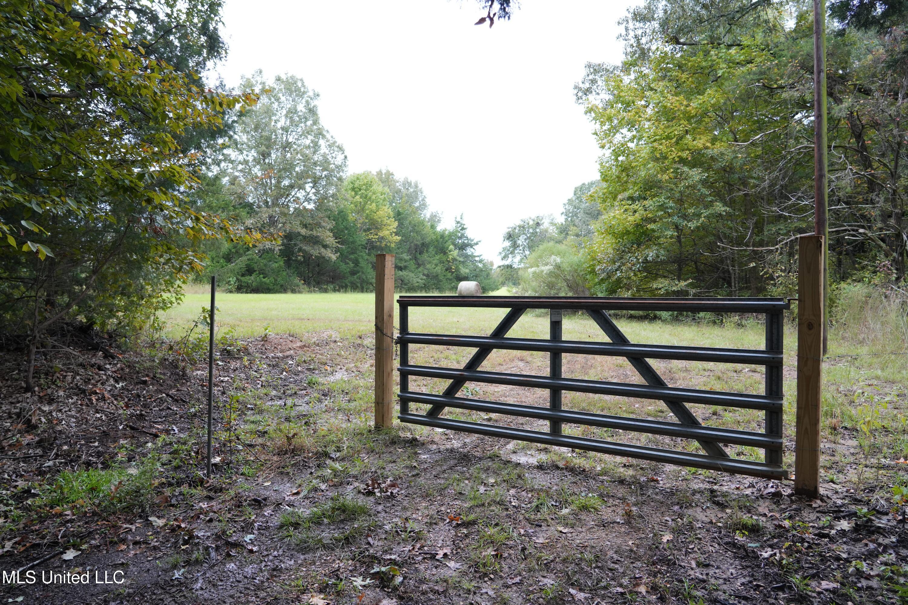 0 Phoenix Road Bentonia, MS 39040 - Photo 1 of 33 1.