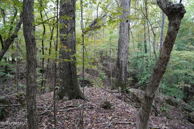 $195,000 | 0 Phoenix Road, Bentonia, MS 39040