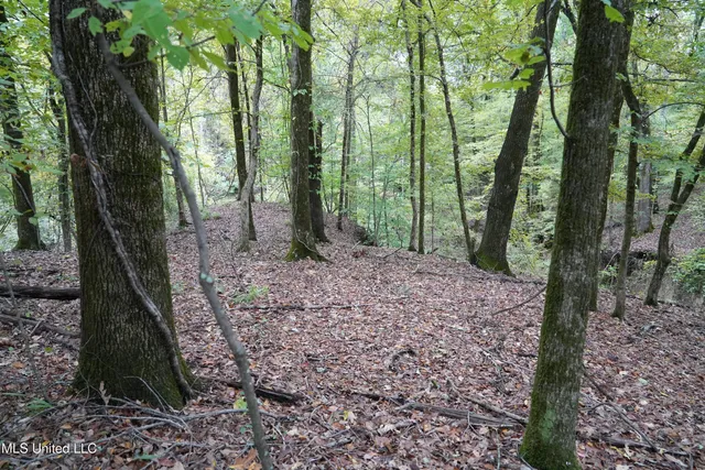 $195,000 | 0 Phoenix Road, Bentonia, MS 39040