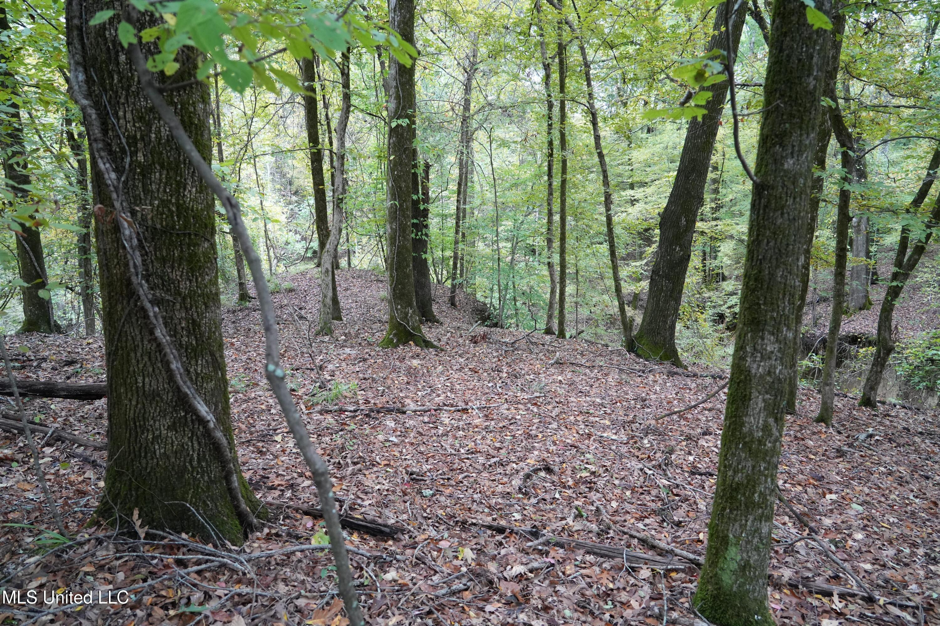 0 Phoenix Road Bentonia, MS 39040 - Photo 12 of 33 12.