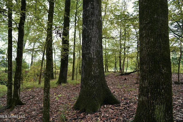 $195,000 | 0 Phoenix Road, Bentonia, MS 39040