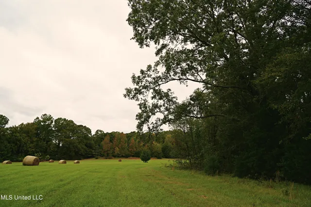 $195,000 | 0 Phoenix Road, Bentonia, MS 39040