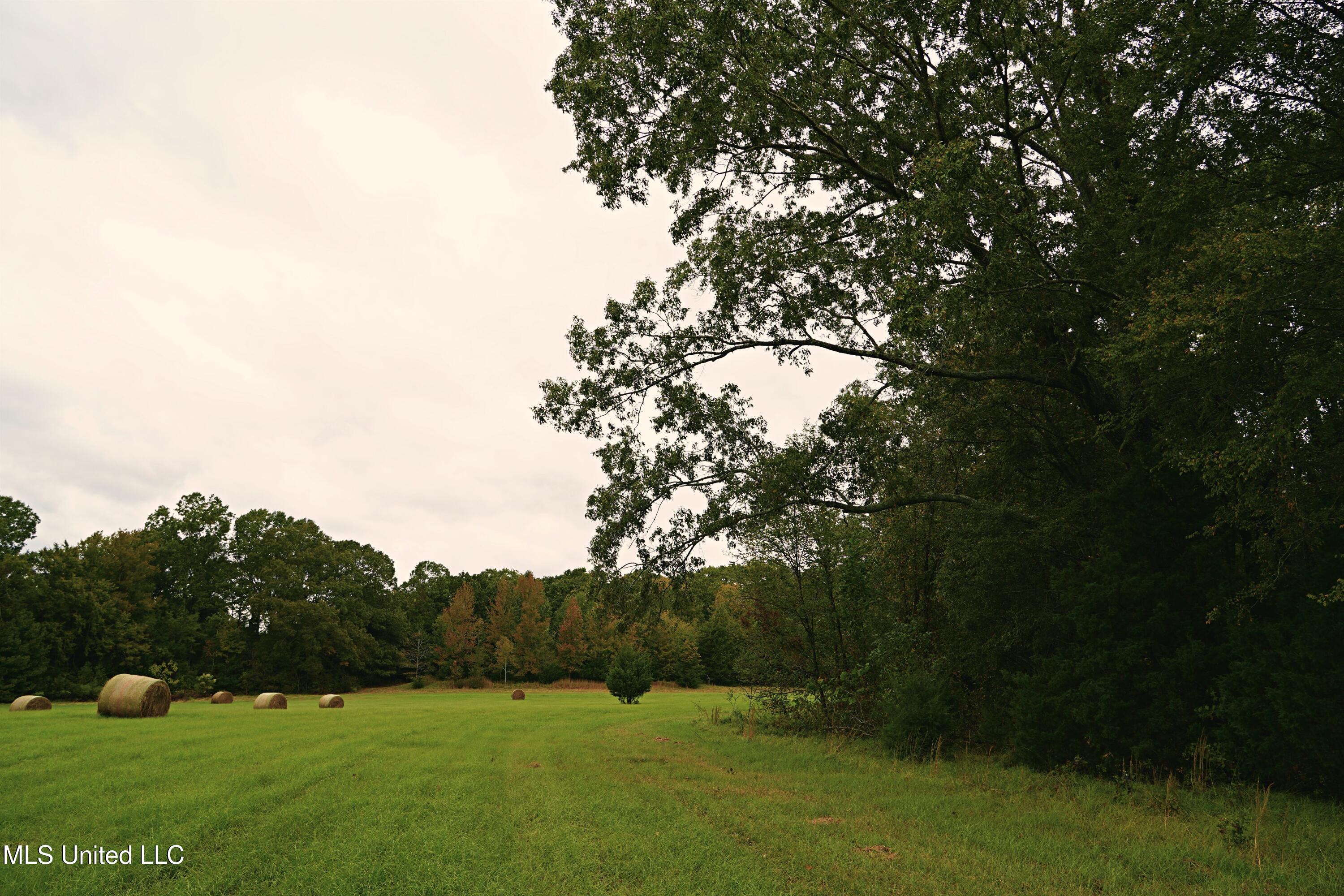0 Phoenix Road Bentonia, MS 39040 - Photo 14 of 33 14.