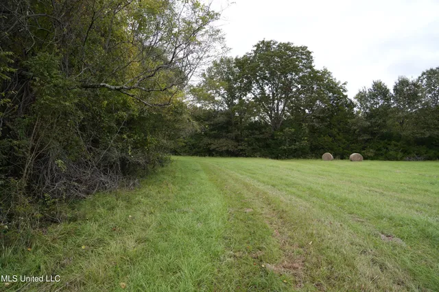 $195,000 | 0 Phoenix Road, Bentonia, MS 39040
