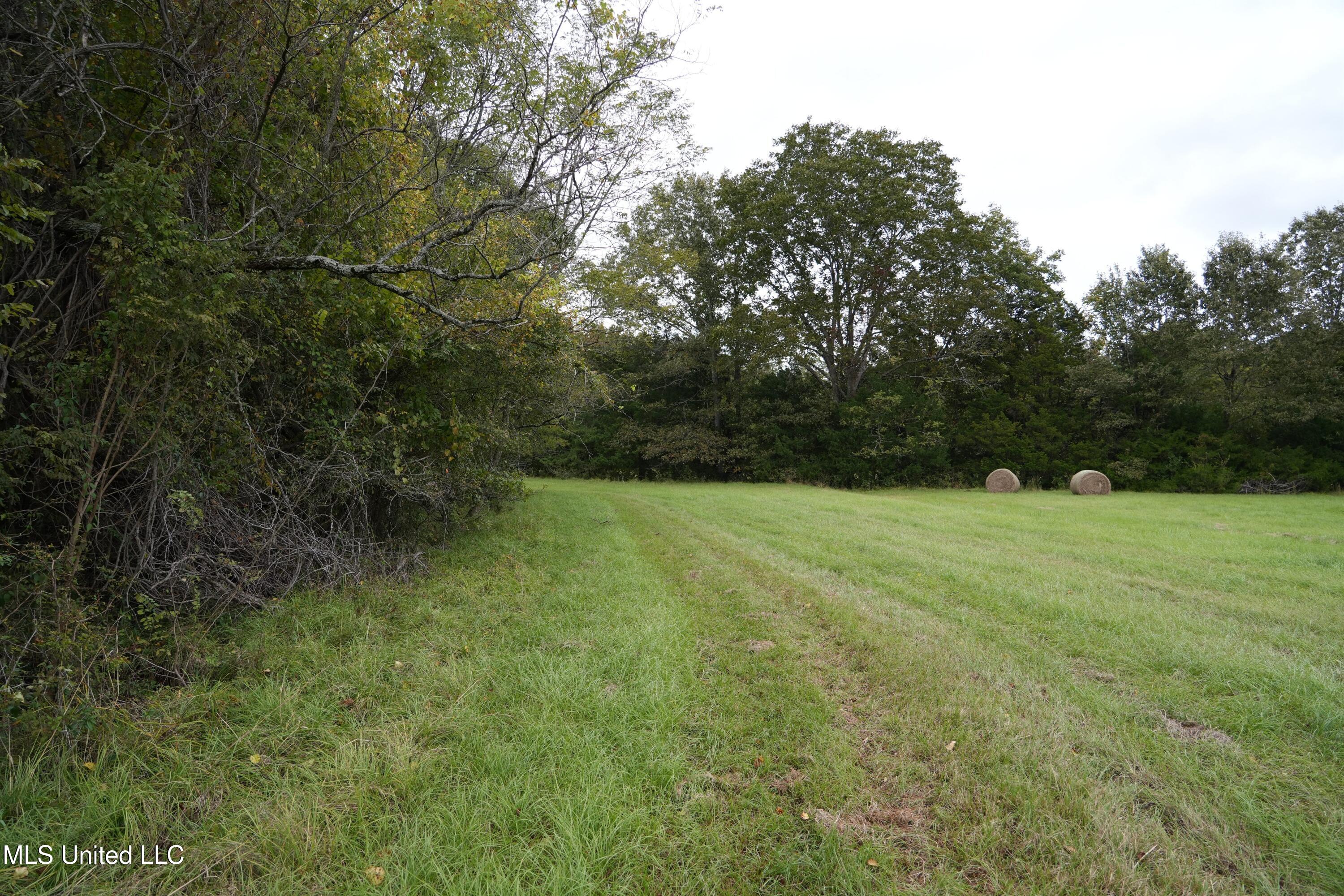 0 Phoenix Road Bentonia, MS 39040 - Photo 15 of 33 15.