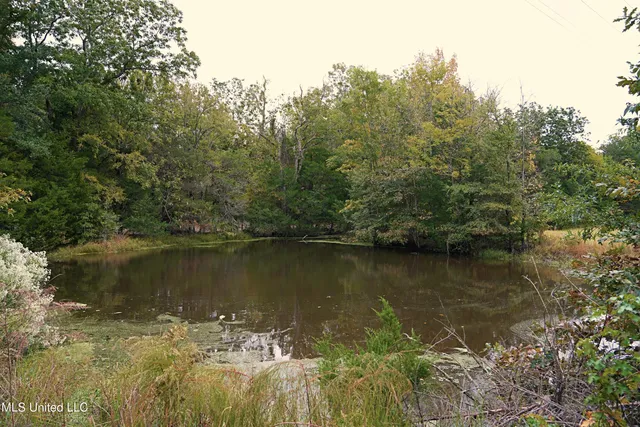 $195,000 | 0 Phoenix Road, Bentonia, MS 39040